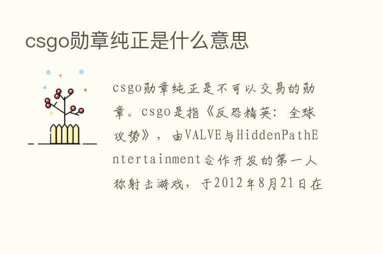 csgo勋章纯正是什么意思