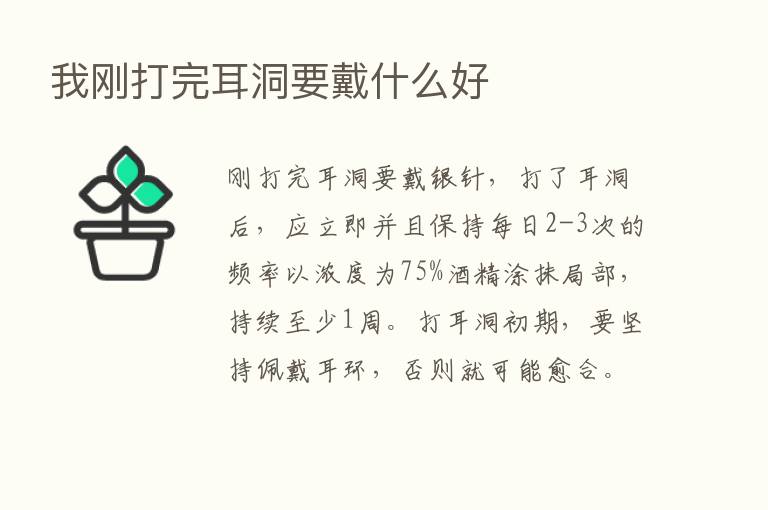 我刚打完耳洞要戴什么好