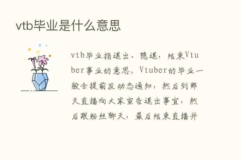 vtb毕业是什么意思