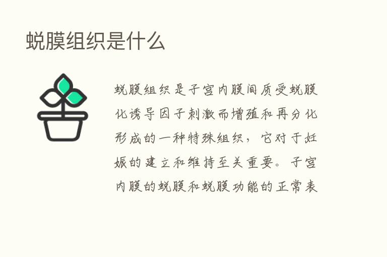 蜕膜组织是什么