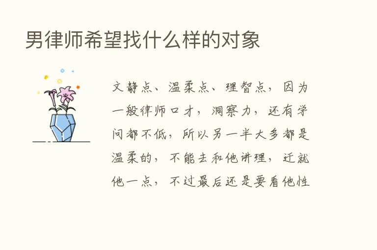 男律师希望找什么样的对象