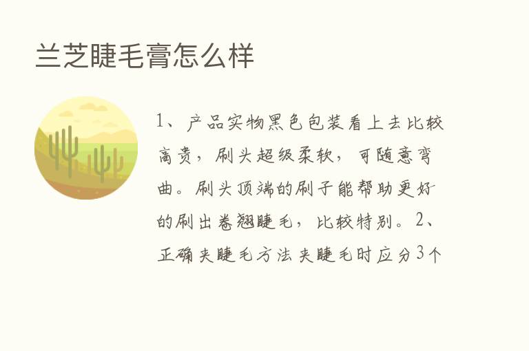 兰芝睫毛膏怎么样