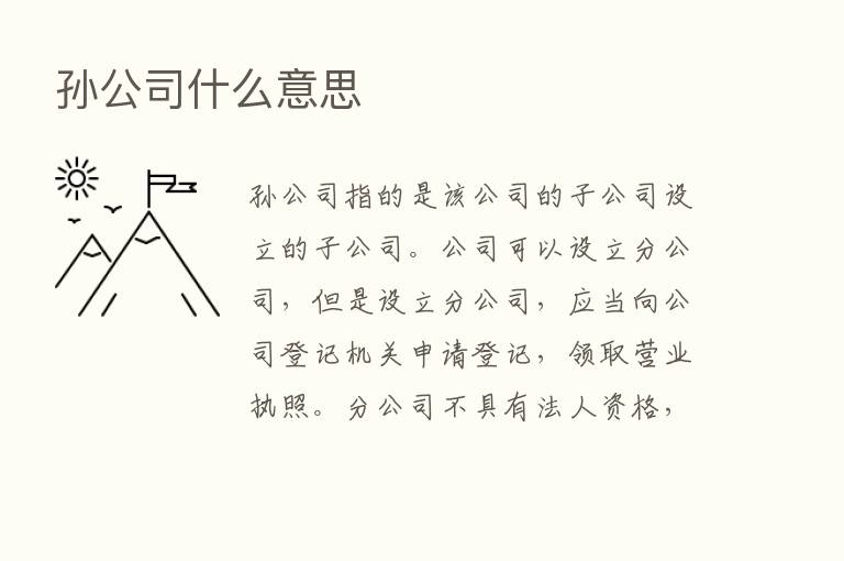 孙公司什么意思