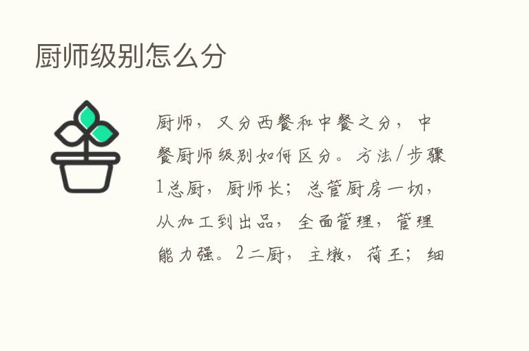 厨师级别怎么分