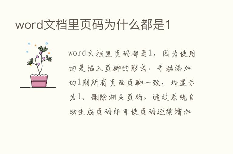 word文档里页码为什么都是1