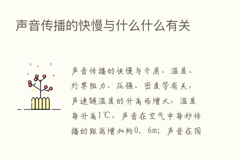 声音传播的快慢与什么什么有关