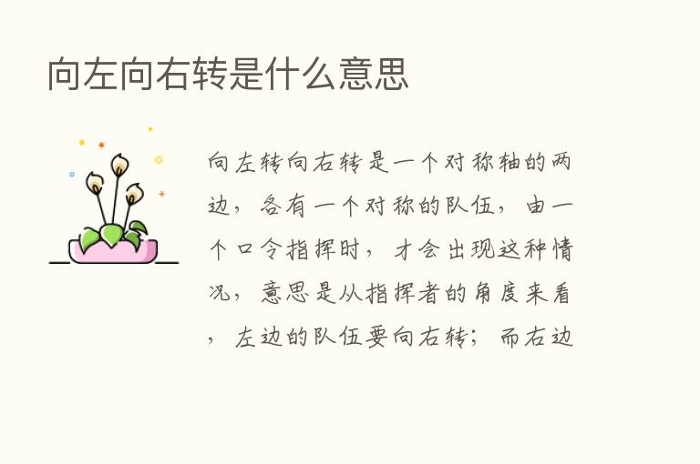 向左向右转是什么意思