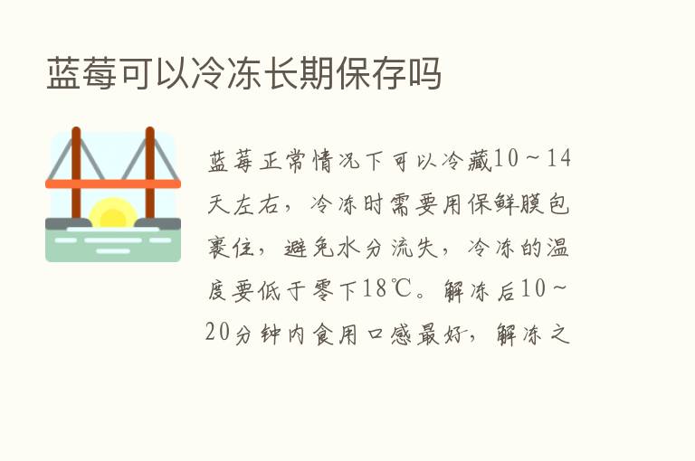 蓝莓可以冷冻长期保存吗