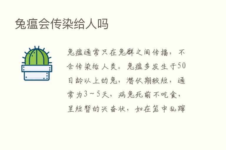 兔瘟会传染给人吗
