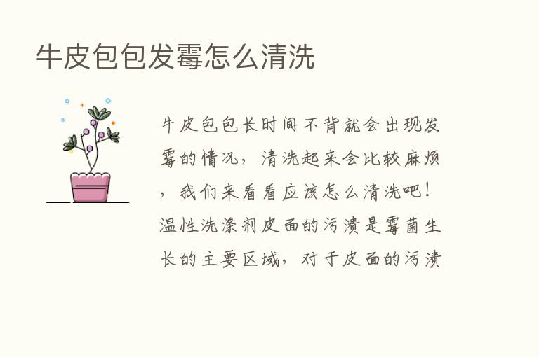 牛皮包包发霉怎么清洗