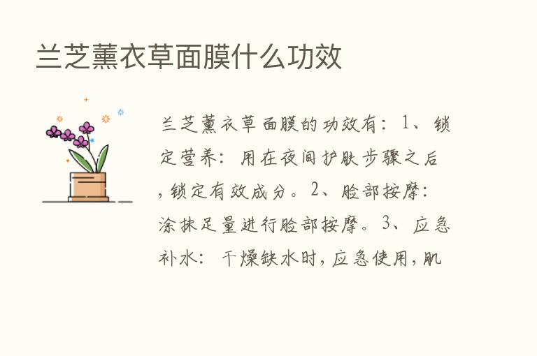 兰芝薰衣草面膜什么功效