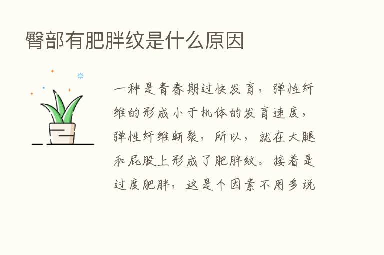 臀部有肥胖纹是什么原因