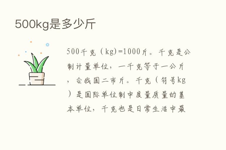 500kg是多少斤