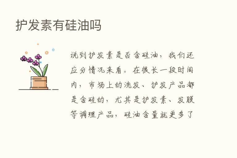 护发素有硅油吗