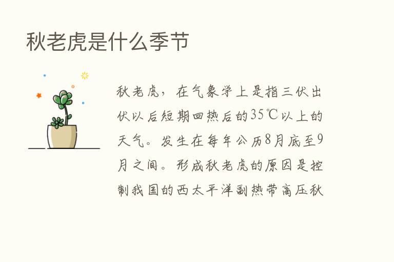 秋老虎是什么季节