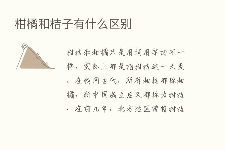 柑橘和桔子有什么区别