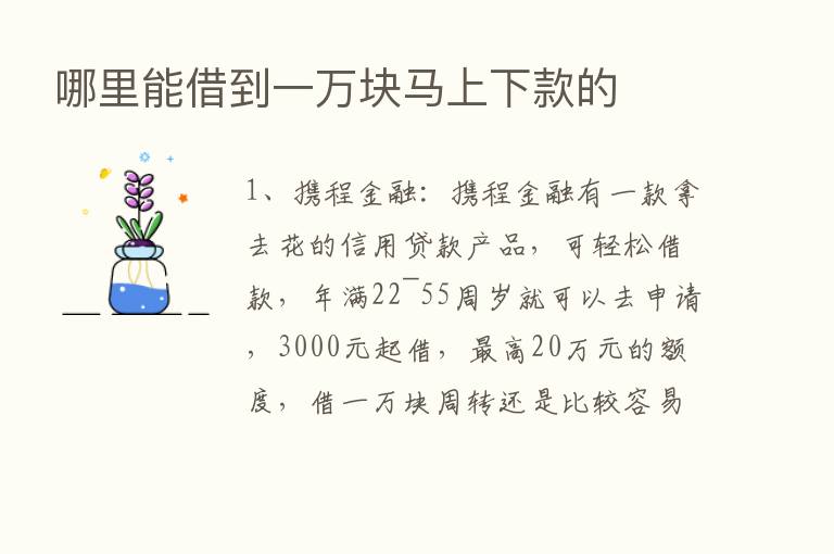 哪里能借到一万块马上下款的