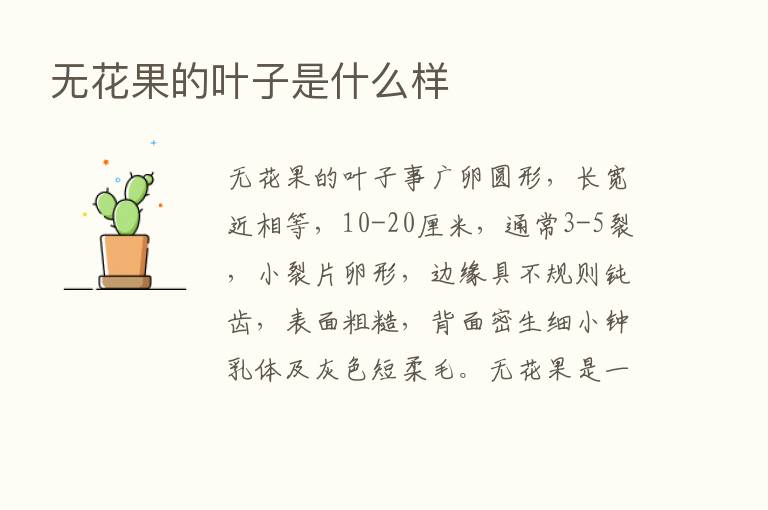 无花果的叶子是什么样