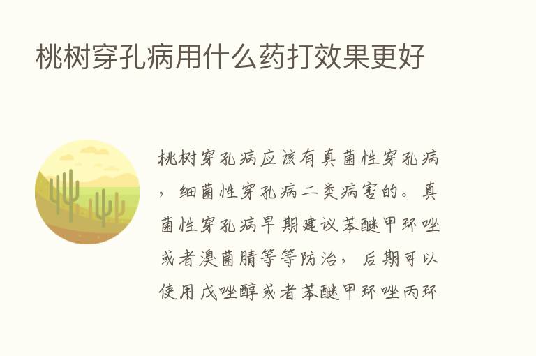 桃树穿孔病用什么药打效果更好