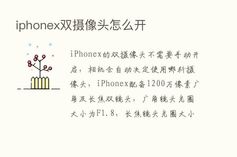 iphonex双摄像头怎么开