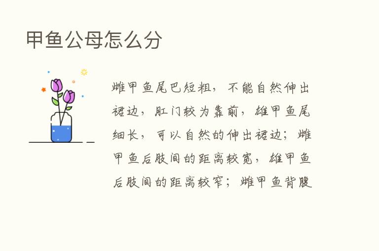 甲鱼公母怎么分