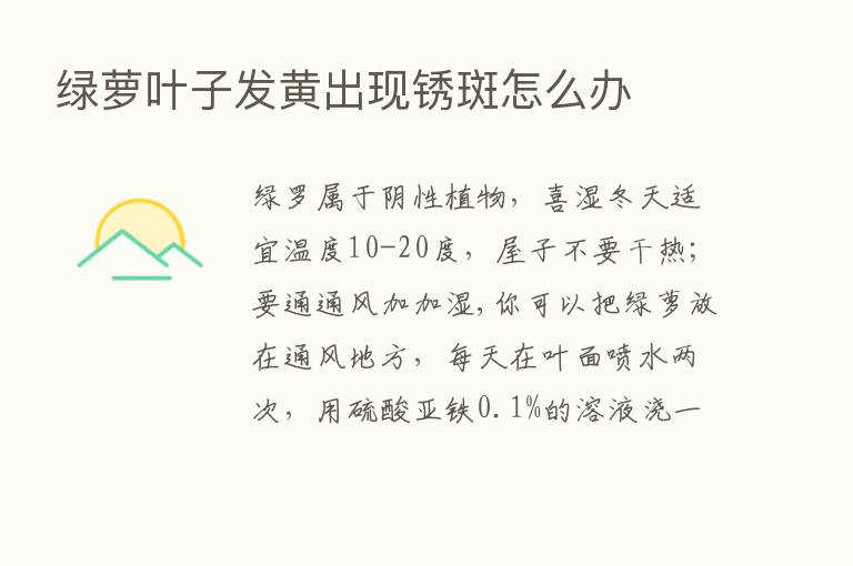 绿萝叶子发黄出现锈斑怎么办