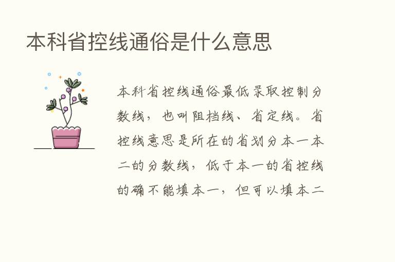 本科省控线通俗是什么意思