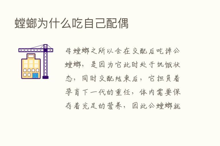 螳螂为什么吃自己配偶