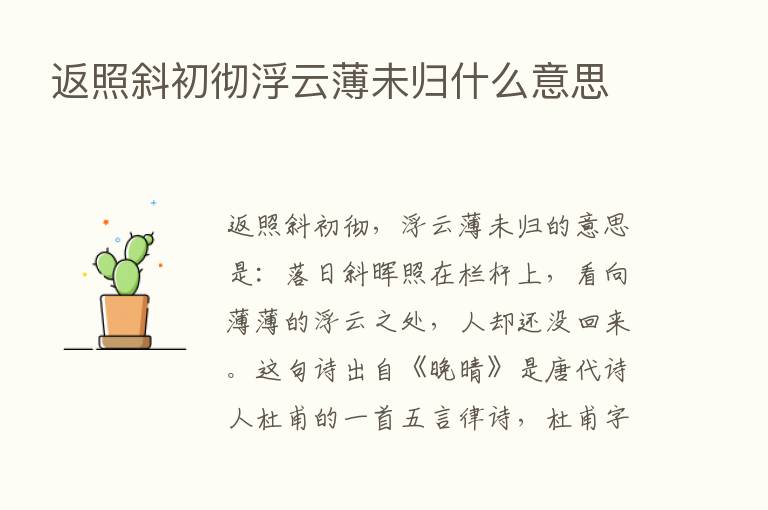 返照斜初彻浮云薄未归什么意思