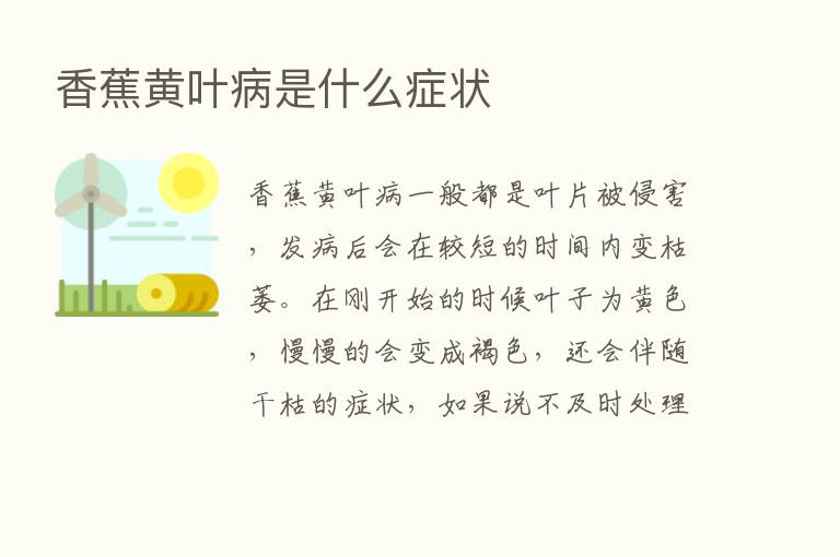 香蕉黄叶病是什么症状