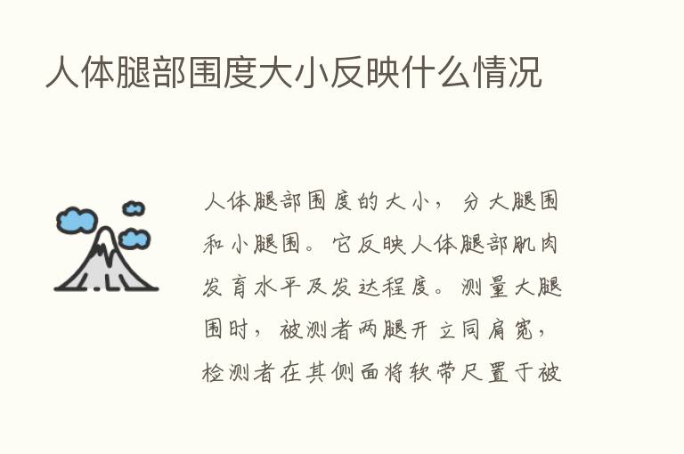 人体腿部围度大小反映什么情况