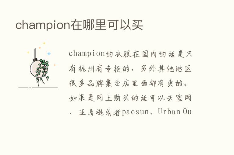 champion在哪里可以买