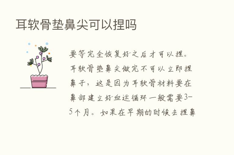 耳软骨垫鼻尖可以捏吗