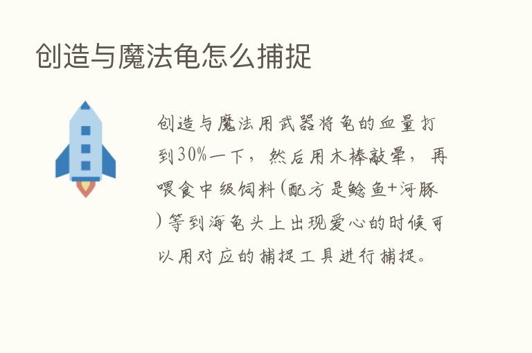 创造与魔法龟怎么捕捉