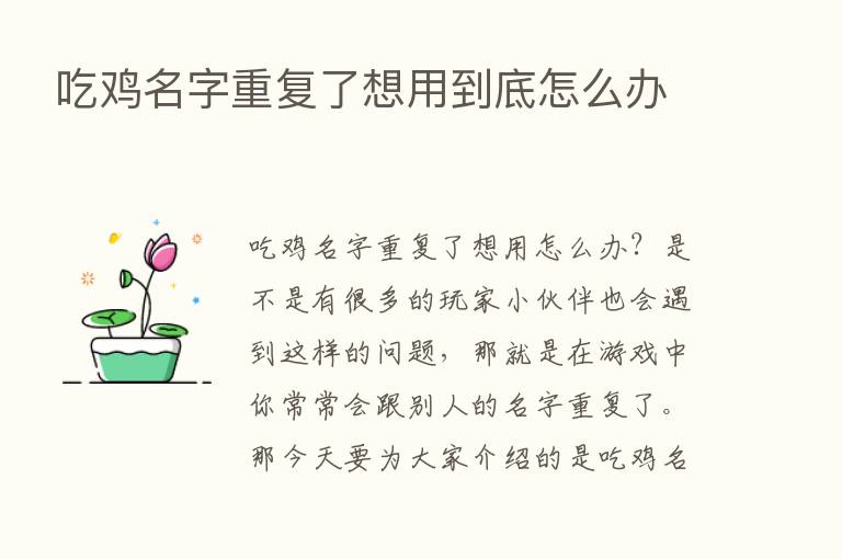 吃鸡名字重复了想用到底怎么办