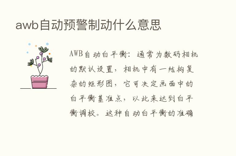 awb自动预警制动什么意思