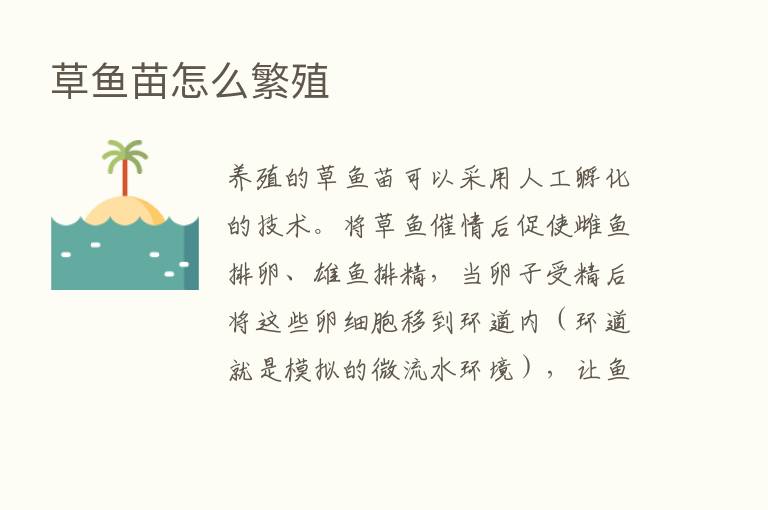 草鱼苗怎么繁殖