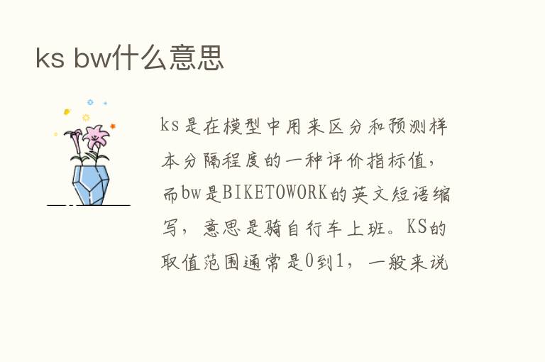 ks bw什么意思