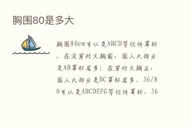 胸围80是多大