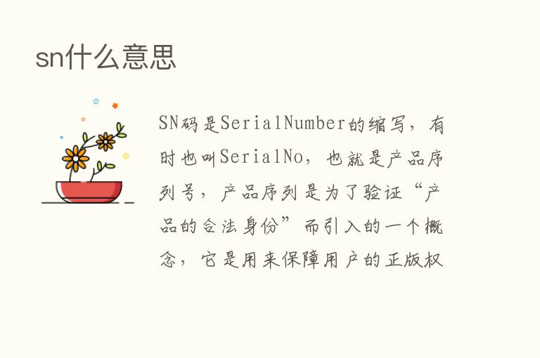 sn什么意思