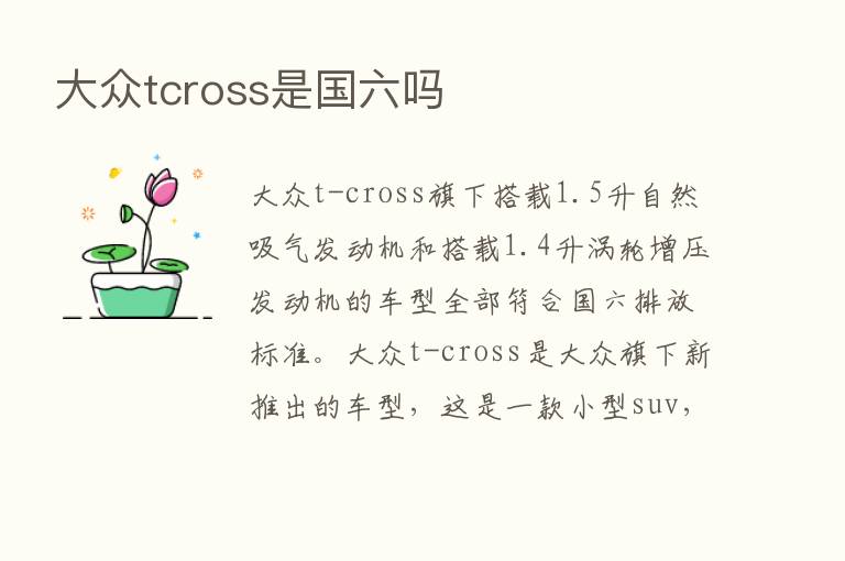 大众tcross是国六吗