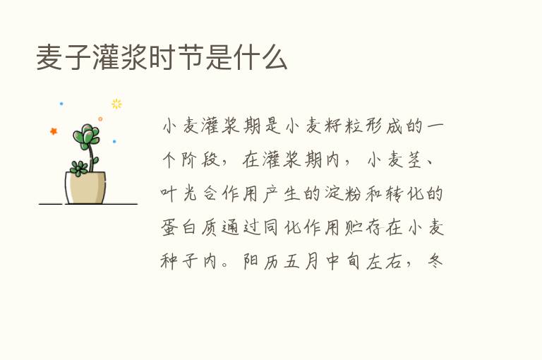 麦子灌浆时节是什么