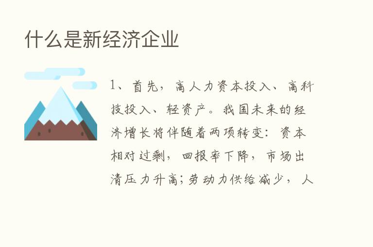 什么是新经济企业