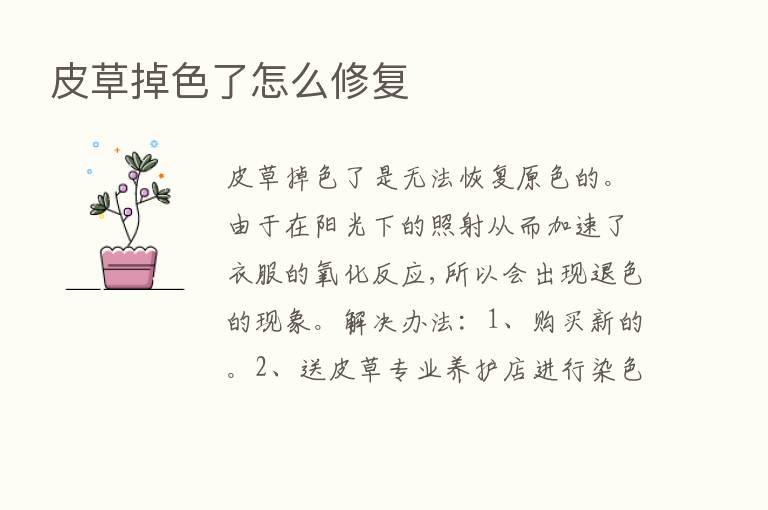 皮草掉色了怎么修复