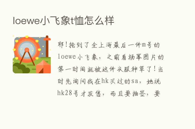 loewe小飞象t恤怎么样