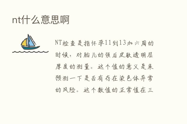 nt什么意思啊