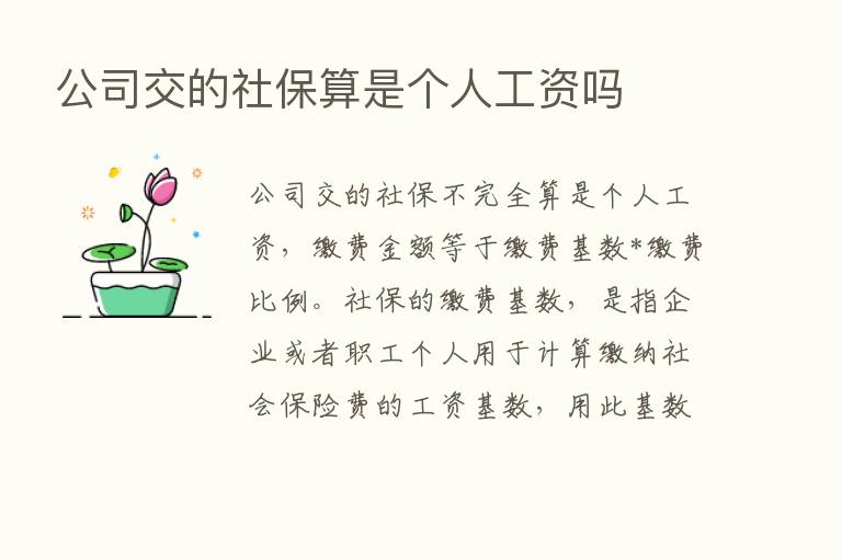 公司交的社保算是个人工资吗