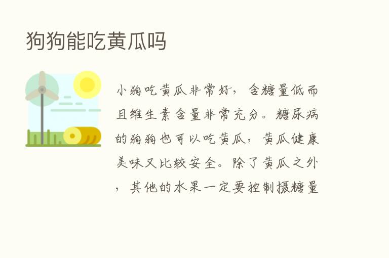 狗狗能吃黄瓜吗