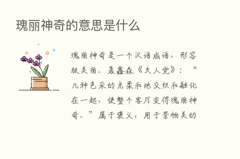 瑰丽神奇的意思是什么