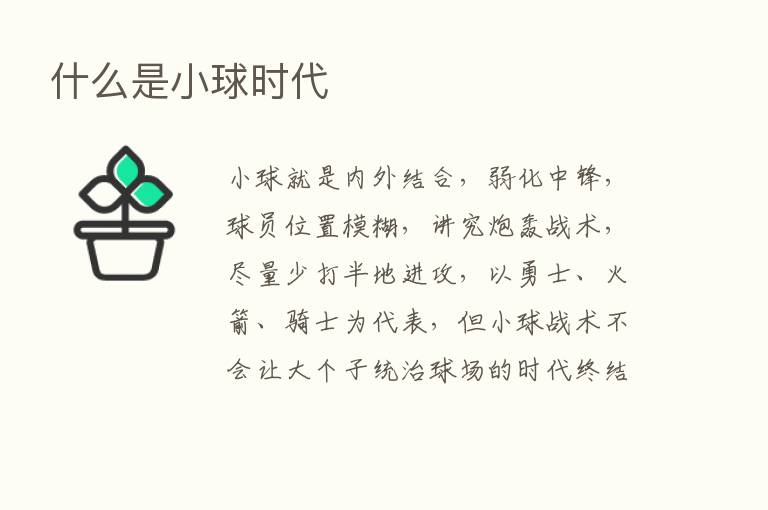 什么是小球时代